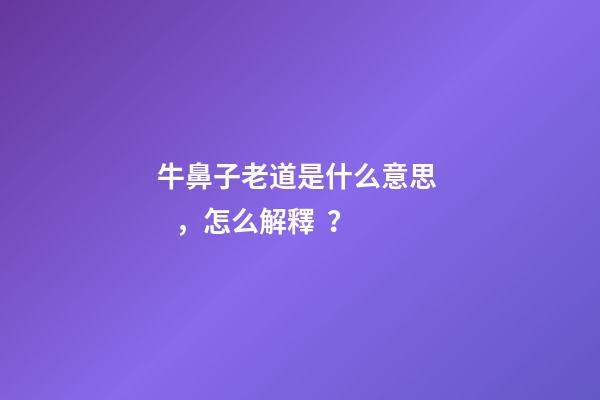 牛鼻子老道是什么意思，怎么解釋？